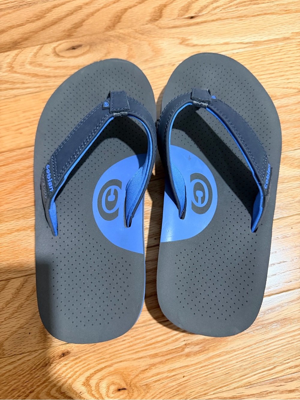 Cobian Kids Gray and Blue Flip Flop Sandals